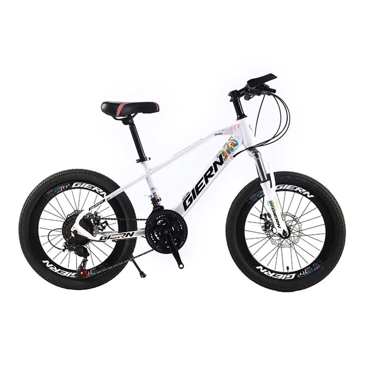 20 Downhill Cycle