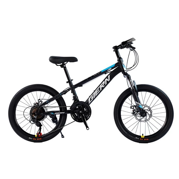 Hardtail Touring Bike