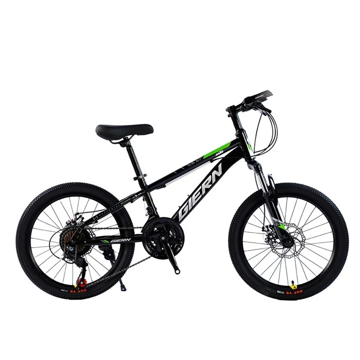 Hardtail Touring Bike