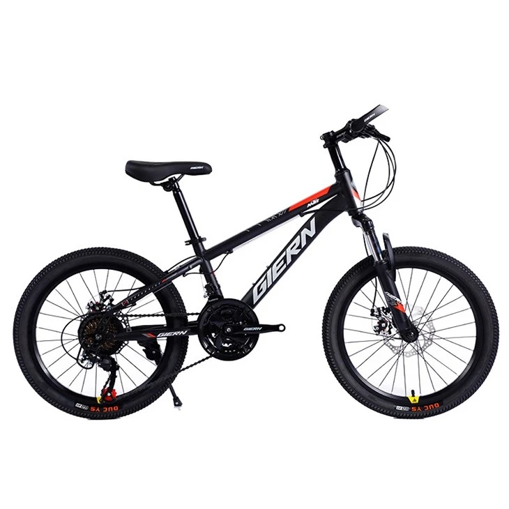 Hardtail Touring Bike