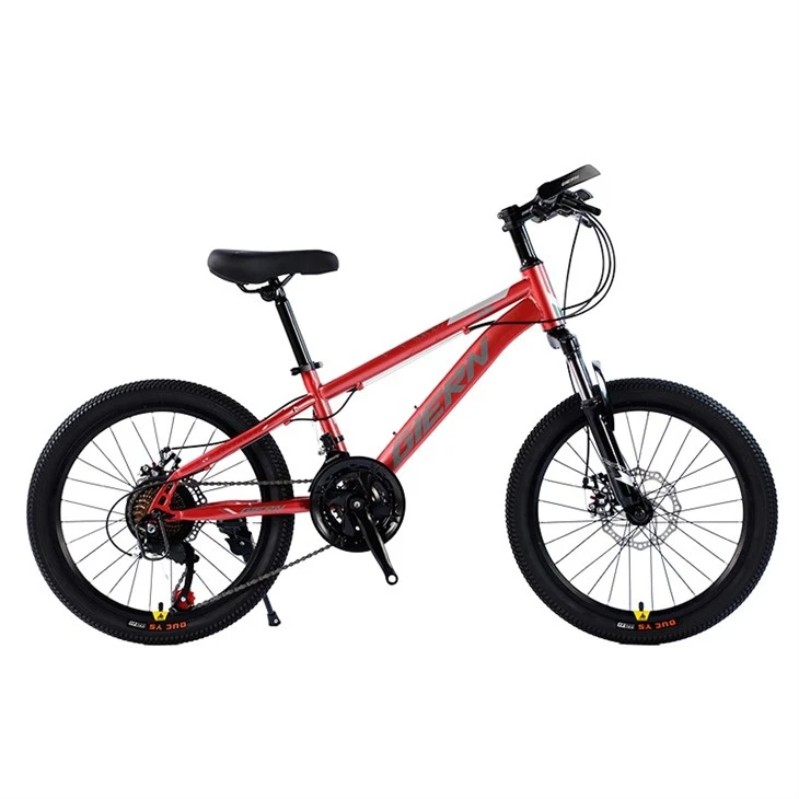 Hardtail Touring Bike