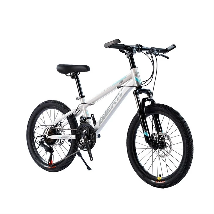 Hardtail Touring Bike